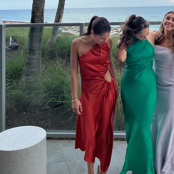 Cult Gaia Bellamy Dress - Picture 4 of 4